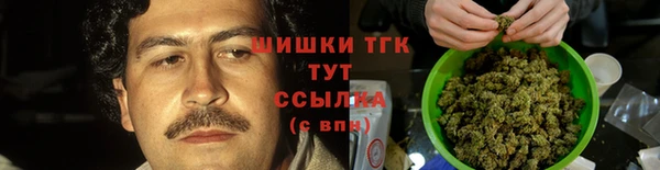 сатива Горно-Алтайск