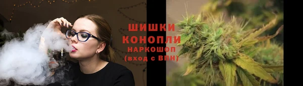 эйфоретик Вяземский