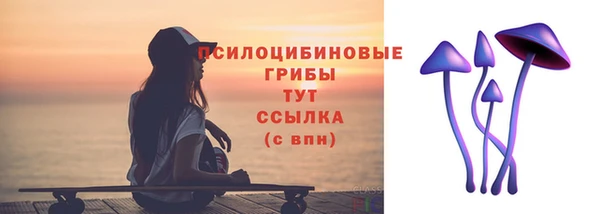 эйфоретик Вяземский