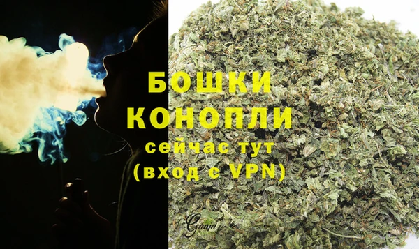 эйфоретик Вяземский
