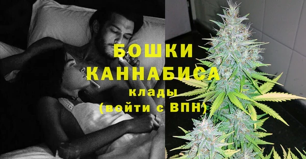 эйфоретик Вяземский