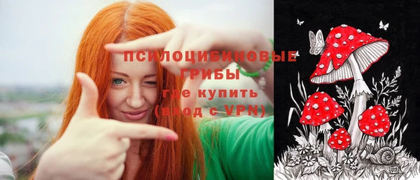 spice Вязьма