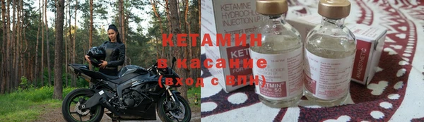 эйфоретик Вяземский