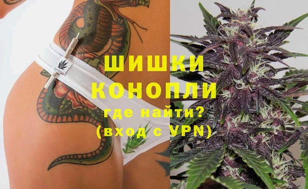 сатива Горно-Алтайск
